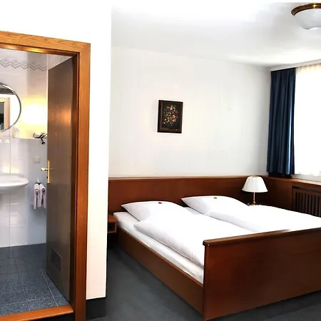 Hotel Gruener Baum