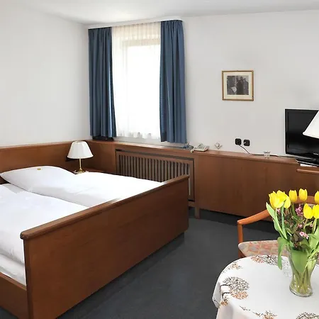 Gruener Baum Pommersfelden