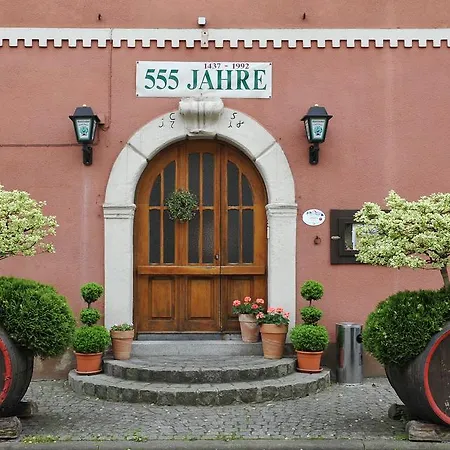 Gruener Baum Hotel